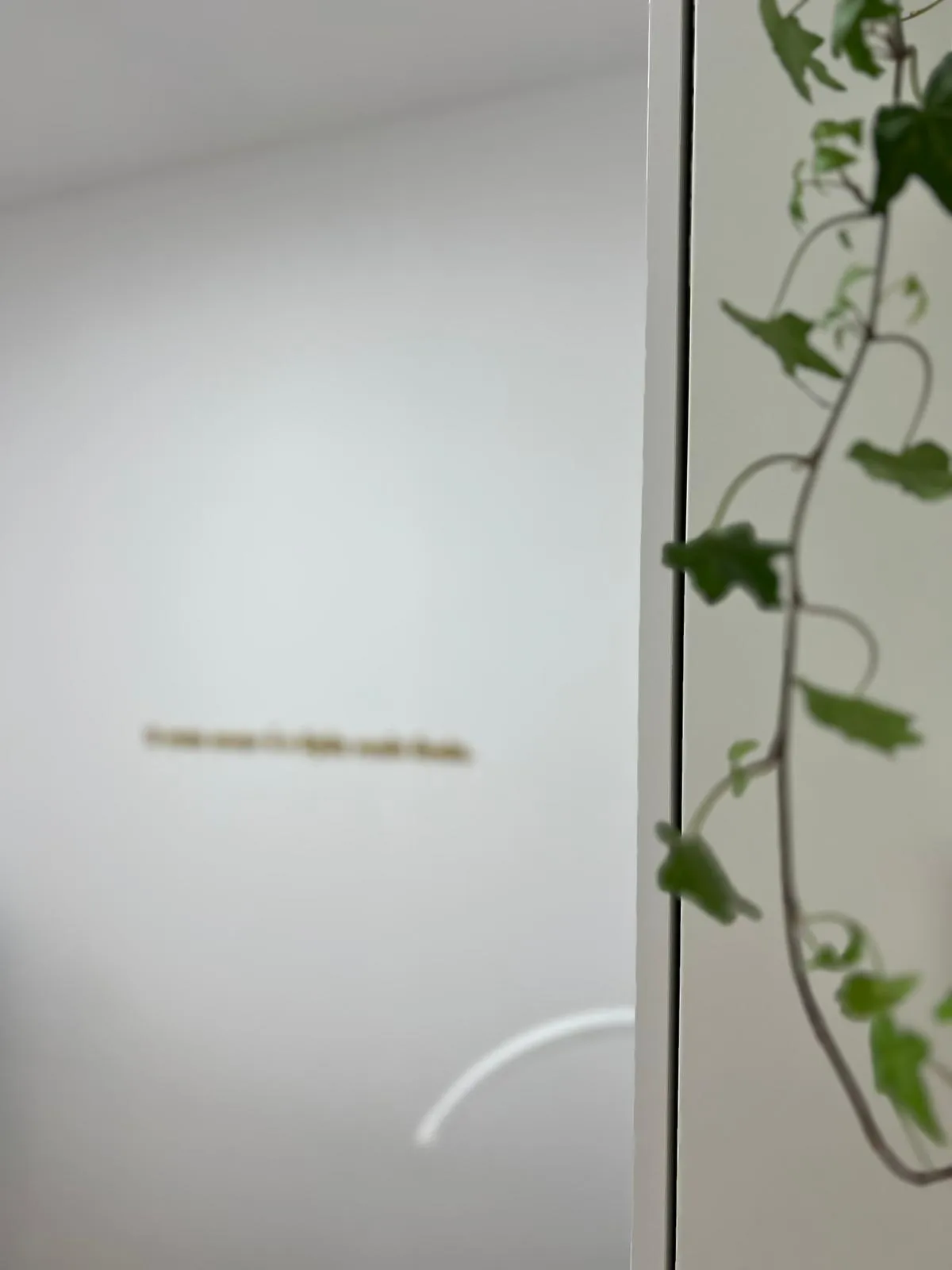 Essence Clinic