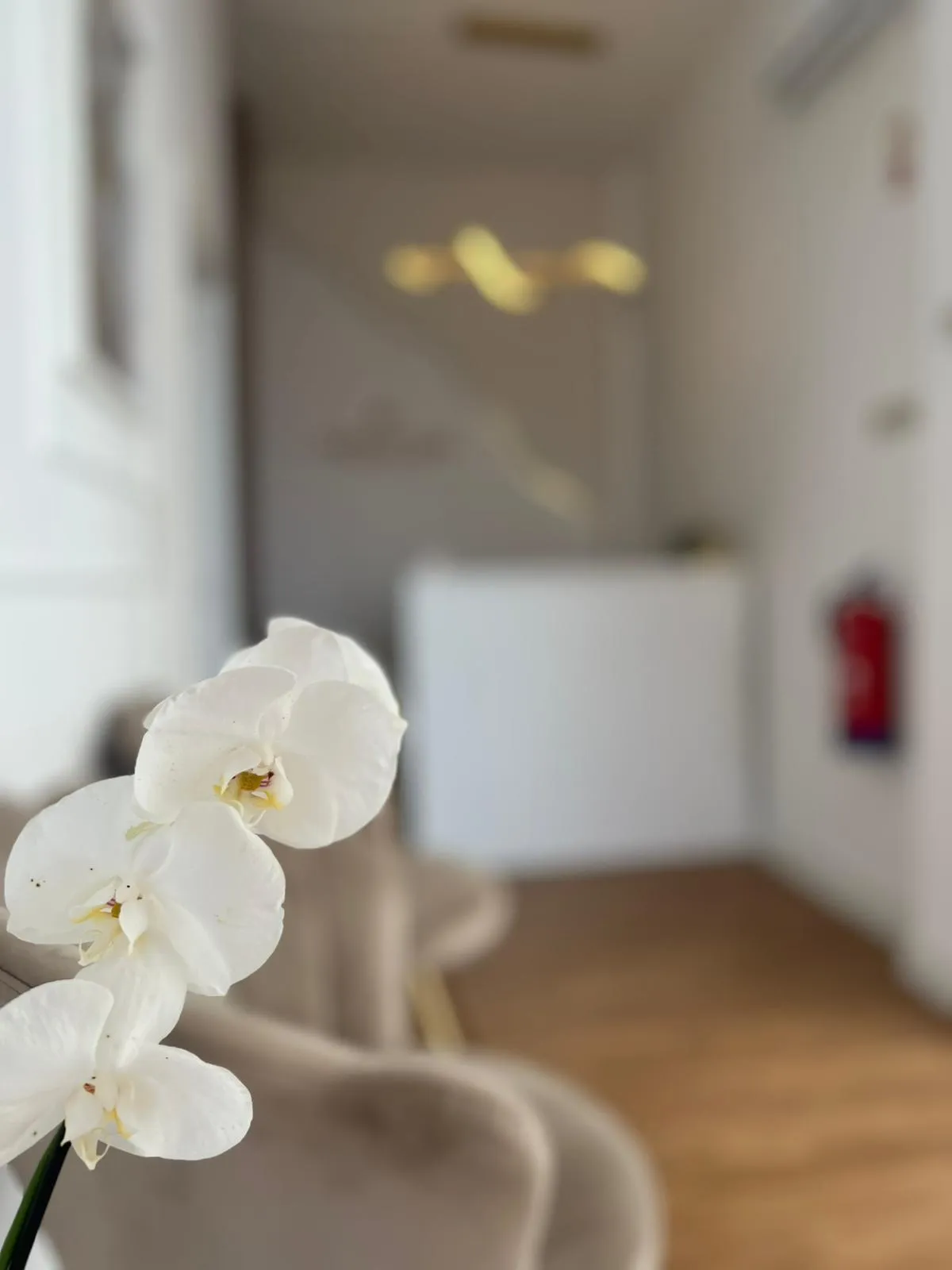Essence Clinic